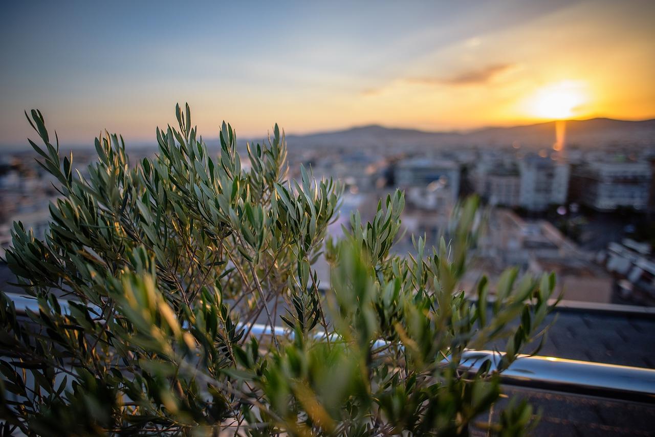 래디슨 블루 파크 호텔 아테네 외부 사진 Olive trees in Athens
